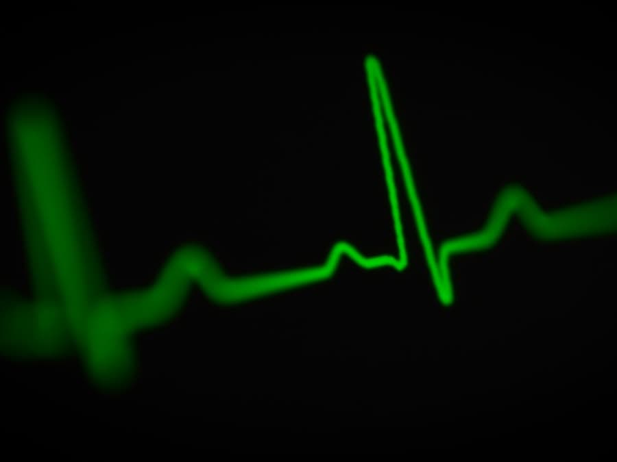 Electrocardiograma veterinario para perros y gatos